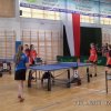 Tenis_polfinal