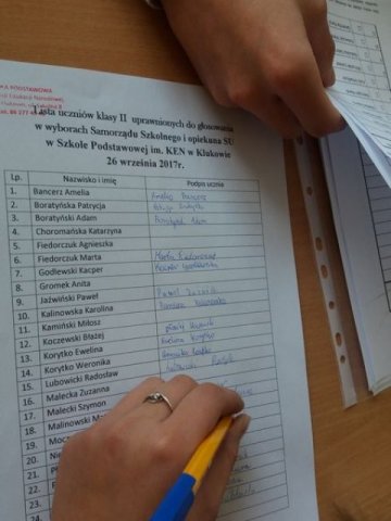 Wybory2017