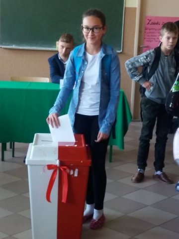 Wybory2017
