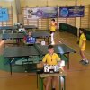 tenis_8_11